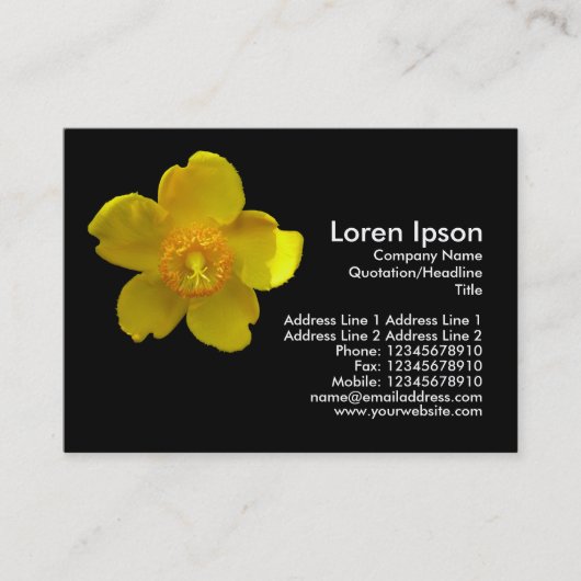 Carte De Visite Hypericum Hidcote (Millepertuis) (Devant)