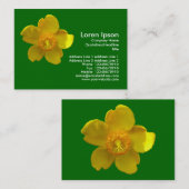 Carte De Visite Hypericum Hidcote (St. John's Wort) Vert herbe (Devant / Derrière)