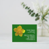 Carte De Visite Hypericum Hidcote (St. John's Wort) Vert herbe (Debout devant)