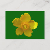 Carte De Visite Hypericum Hidcote (St. John's Wort) Vert herbe (Dos)