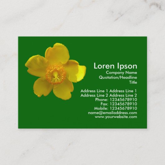 Carte De Visite Hypericum Hidcote (St. John's Wort) Vert herbe (Devant)