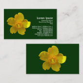 Carte De Visite Hypericum Hidcote - Vert foncé (Devant / Derrière)