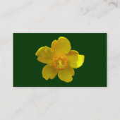 Carte De Visite Hypericum Hidcote - Vert foncé (Dos)