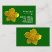 Carte De Visite Hypericum Hidcote - Vert herbe (Devant / Derrière)