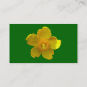 Carte De Visite Hypericum Hidcote - Vert herbe (Dos)