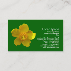 Carte De Visite Hypericum Hidcote - Vert herbe