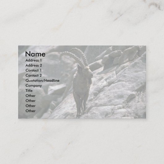 Carte De Visite Ibex sibérien (Devant)
