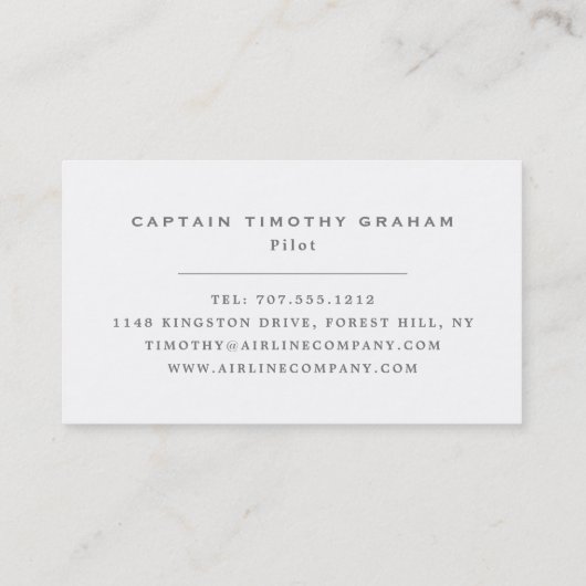 Carte De Visite Icône Silver Plane, Vol Steward & Pilot (Dos)