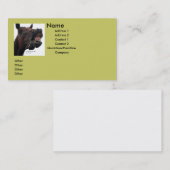 Carte de visite idiot de cheval (Devant / Derrière)