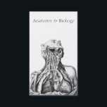 Carte De Visite Illustration anatomique Sciences Médicales<br><div class="desc">Cette illustration scientifique vintage avec une police de caractères ajoute à ce carte de visite un aspect classique et majestueux. Un parfait ajustement pour un professeur universitaire d'anatomie et de biologie. D'autres utilisations peuvent inclure une carte de profil pour un biologiste.</div>