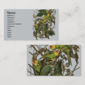 Carte De Visite Illustration Audubon Carolina Parrot Bird (Devant / Derrière)