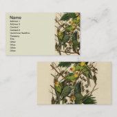 Carte De Visite Illustration Audubon Carolina Parrot Bird (Devant / Derrière)