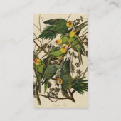 Carte De Visite Illustration Audubon Carolina Parrot Bird (Dos)
