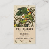 Carte De Visite Illustration Audubon Carolina Parrot Bird (Devant)