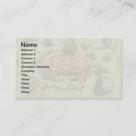 Carte De Visite Illustration de fleur d'insecte botanique de crabe (Devant)