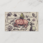 Carte De Visite Illustration de fleur d'insecte botanique de crabe (Dos)