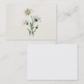 Carte De Visite Illustration de fleur sauvage de marguerites du (Devant / Derrière)