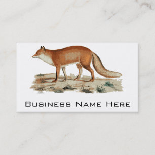 Carte De Visite Illustration de Fox