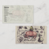 Carte De Visite Illustration de la fleur d'insectes botaniques du  (Devant / Derrière)