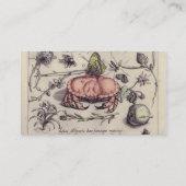 Carte De Visite Illustration de la fleur d'insectes botaniques du  (Dos)