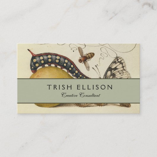 Carte De Visite Illustration de l'insecte du fruit du papillon (Devant)