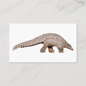 Carte De Visite Illustration de Pangolin (Dos)