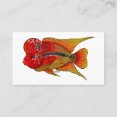 Carte De Visite Illustration de poisson cichlidé Flowerhorn de sty (Dos)
