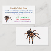 Carte De Visite Illustration de Tarantula (Devant / Derrière)