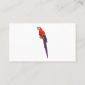 Carte De Visite Illustration du perroquet de macaw Scarlet (Dos)