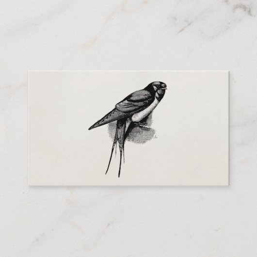 Carte De Visite Illustration rapide vintage d'oiseau d'hirondelle (Devant)