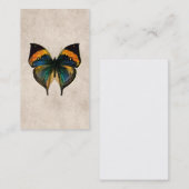 Carte De Visite Illustration vintage de papillon - papillons (Devant / Derrière)