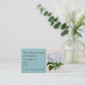 Carte De Visite Illustrations Vintages d'Hydrangée blanche (Debout devant)