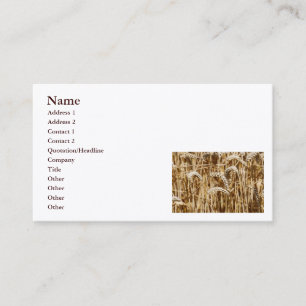Carte De Visite Image de champ de blé pour professionnel de l'agri