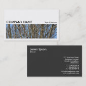 Carte De Visite Image longue 0164 - Branches lumineuses (Devant / Derrière)