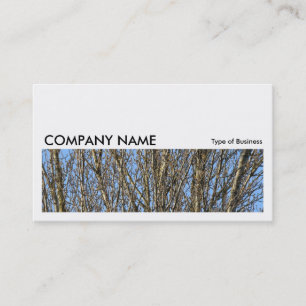 Carte De Visite Image longue 0164 - Branches lumineuses