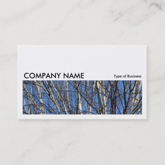 Carte De Visite Image longue 0169 - Branches de bouleau d'argent (Devant)