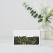 Carte De Visite Image longue 0175 - Camellia Bush (Debout devant)