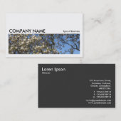 Carte De Visite Image longue 0179 - Arbre de Magnolia en fleurs (Devant / Derrière)