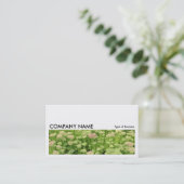Carte De Visite Image longue 0196 - Sedum (Joie d'automne) (Debout devant)