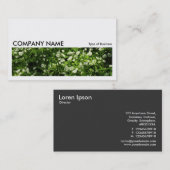 Carte De Visite Image longue 0208 - Ail sauvage (Devant / Derrière)