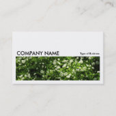 Carte De Visite Image longue 0208 - Ail sauvage (Devant)