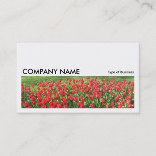 Carte De Visite Image longue 0233 - Lit de tulipes rouges 01