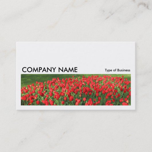 Carte De Visite Image longue 0233 - Lit de tulipes rouges 02 (Devant)