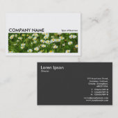 Carte De Visite Image longue 0235 - Pré marguerrier (Devant / Derrière)