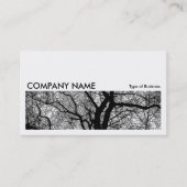Carte De Visite Image longue 064 - Arbre à contraste élevé (Devant)