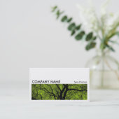 Carte De Visite Image longue 067 - Arbre à contraste élevé - 99CC0 (Debout devant)
