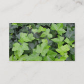 Carte De Visite Impression botanique verte Ivy (Dos)