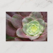 Carte De Visite Impression Cactus | Une Fleur de cactus du désert (Devant)