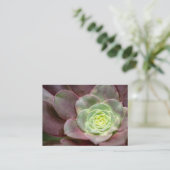 Carte De Visite Impression Cactus | Une Fleur de cactus du désert (Debout devant)