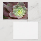 Carte De Visite Impression Cactus | Une Fleur de cactus du désert (Devant / Derrière)